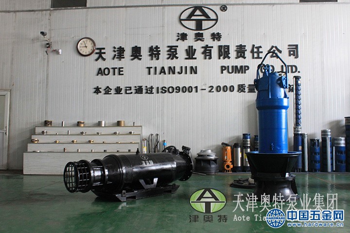 Submersible axial flow pump (9)