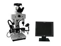 文痕检比较显微镜——6C比较显微镜图1