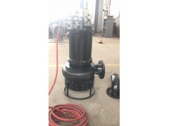 粉碎切割杂质泵，清淤泵，污泥泵图1