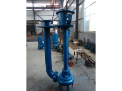 PSL型耐磨立式抽沙泵，矿砂泵，灰砂泵图1