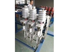 10kv小型化FZN25-12高压负荷开关图1