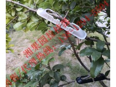 陕西梨树拉枝定型神器神器图1