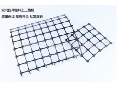 专业生产路基加筋用双向拉伸塑料土工格栅厂家图1