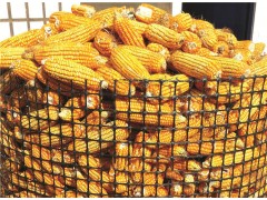 河南养殖围栏网用双向塑料土工格栅多钱一平米图1