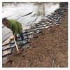 沈阳河道治理河岸护坡蜂巢约束系统 护坡种植10高蜂巢土工网格