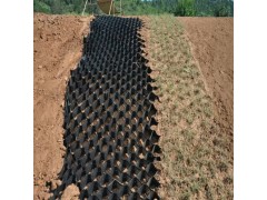 园林绿化工程用蜂巢约束系统 河道护坡用蜂巢土工格室图1