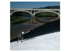 护坡绿化工程用蜂巢土工格室 1.5纹面非边坡防护蜂巢约束系统图1