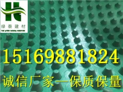 3公分4公分12公分车库排水板(驻马店平顶山)图1