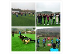 别到处快乐，这个假期就来乐农湖畔生态园图1