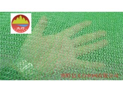 博野太行6.0针绿化盖土网公路盖土网 裸土盖土网批发图1