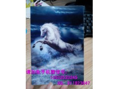 3D光栅片防伪 全息透明激光防伪标帖图1