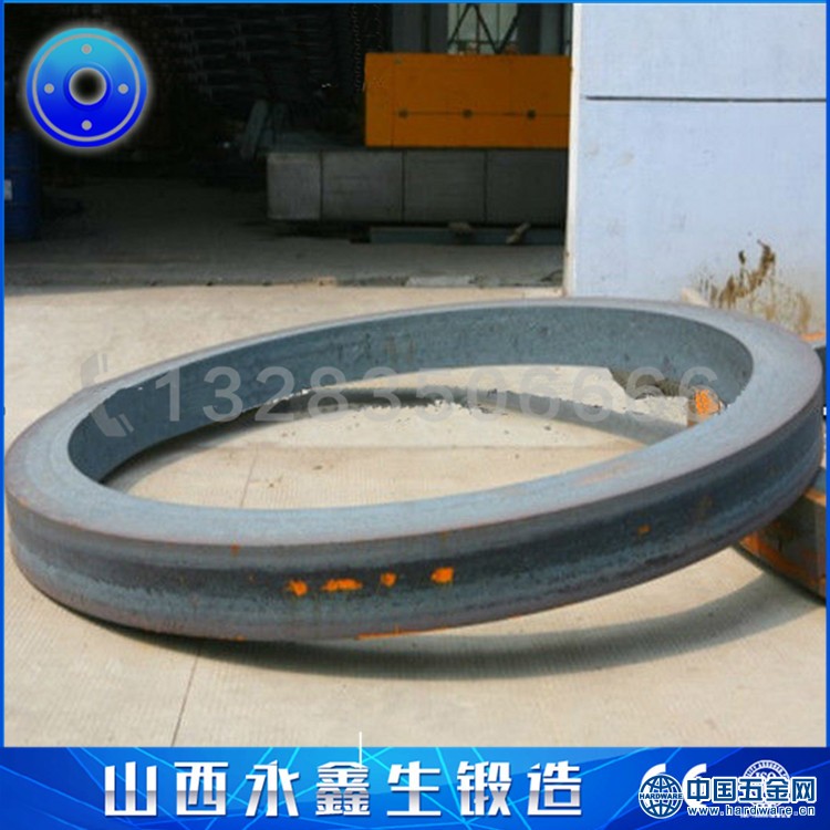 环形锻件毛坯 (10)