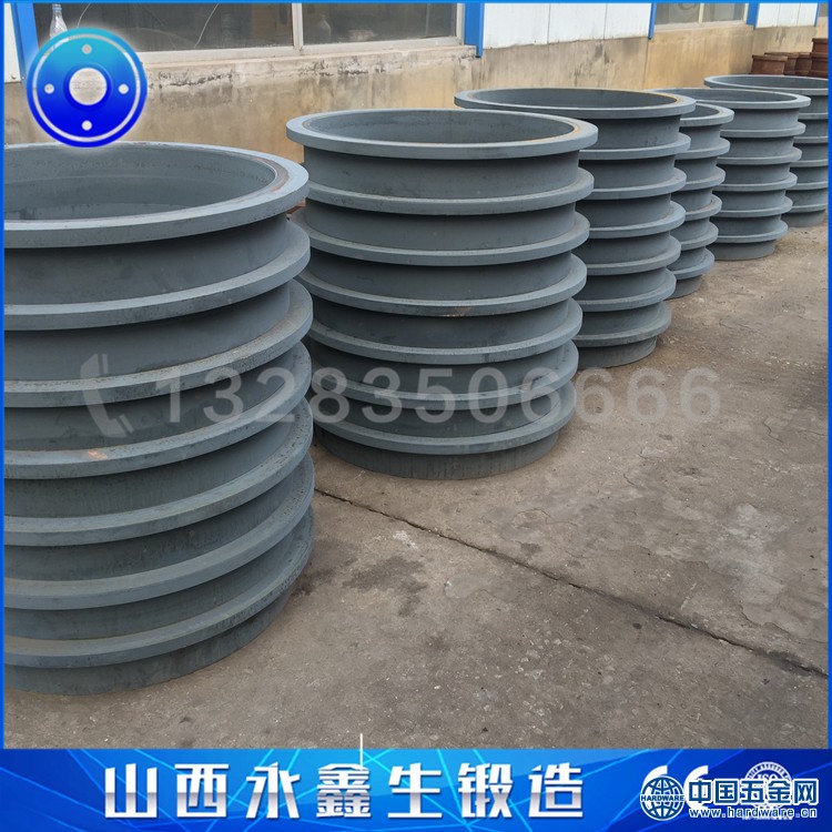 环形锻件20毛坯 (1)