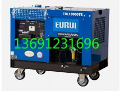 东洋发电机TDL13000TE图1