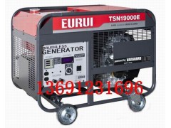 东洋发电机TSN19000E图1