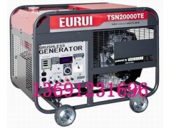东洋汽油发电机TSN20000TE图1