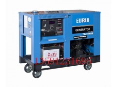 柴油发电机TDL16000E图1