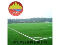 供应假草坪 假草皮 人工塑料草坪 塑料草坪图1