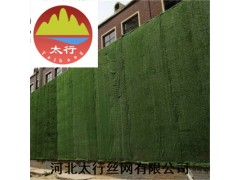 供应草坪网塑料草坪 别墅草坪塑料草坪地毯图1