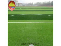 供应滑草草坪网 户外婚礼草坪 草坪网图1