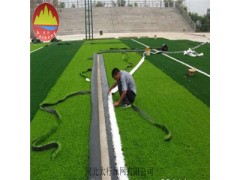 供应青浦草坪网 环保草坪 人工绿化假草坪图1