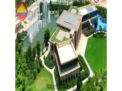 供应仿真草坪 草坪网 人造草坪网图1