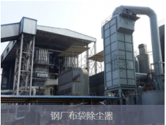 大型循环流化床锅炉除尘器燃烧效率98-99%负荷调节比大图1