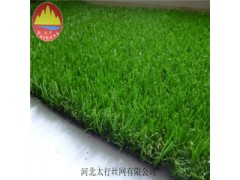 博野太行屋外草坪 别墅草坪 草坪网 仿真草坪图1