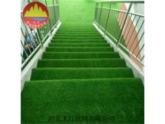 博野太行 足球场草坪网 户外婚礼草坪  草坪网图1