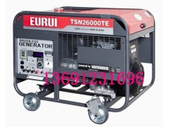 东洋发电机TSN26000TE图1