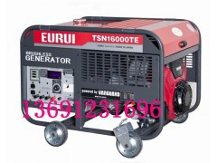 东洋汽油发电机TSN16000TE图1