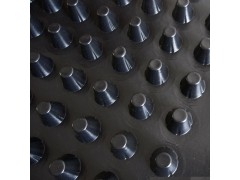 功能型 2公分3公分车库顶板绿化排水板 H20mm绿化排水板图1