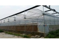 玻璃温室大棚蔬菜大棚养殖大棚文洛式智能大棚图1