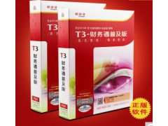 东莞财务软件图1