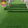 扬州环保绿化仿真草坪 塑料草坪地毯 安平县草坪网价格