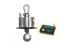 高温电子吊钩秤图1