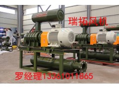 20-25kpa锅炉用罗茨风机图1