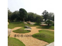 园林绿化施工哪家好,园林绿化施工,绿化景观施工图1