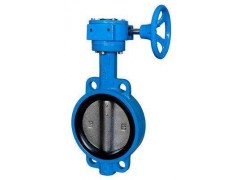 D371X铸铁对夹蝶阀图1