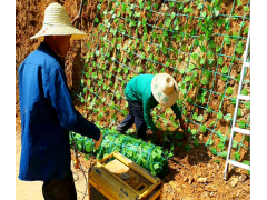 植物攀爬架植物支撑网绿色钢塑土工格栅图1