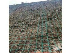 山坡爬山虎植物爬藤网 17孔径边坡绿化防护专用攀爬网图1