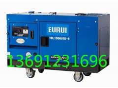 东洋发电机TDL13000TE-B图1