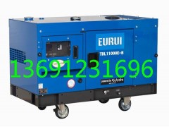 东洋发电机TDL11000E-B图1