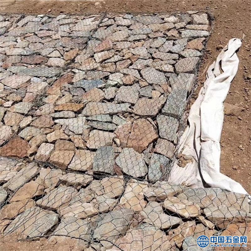 雷诺护垫_看图王 (1)