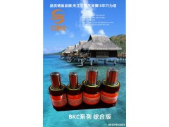 KALLER X170-075五金塑胶模氮气缸弹簧图1