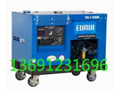 东洋发电机TDL11000E图1