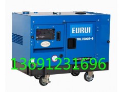 东洋发电机TDL7500E-B图1