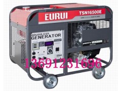 东洋汽油发电机TSN16500E图1
