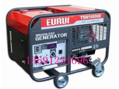 进口汽油发电机TSN14000E图1