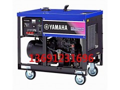 进口柴油发电机EDL13000TE图1